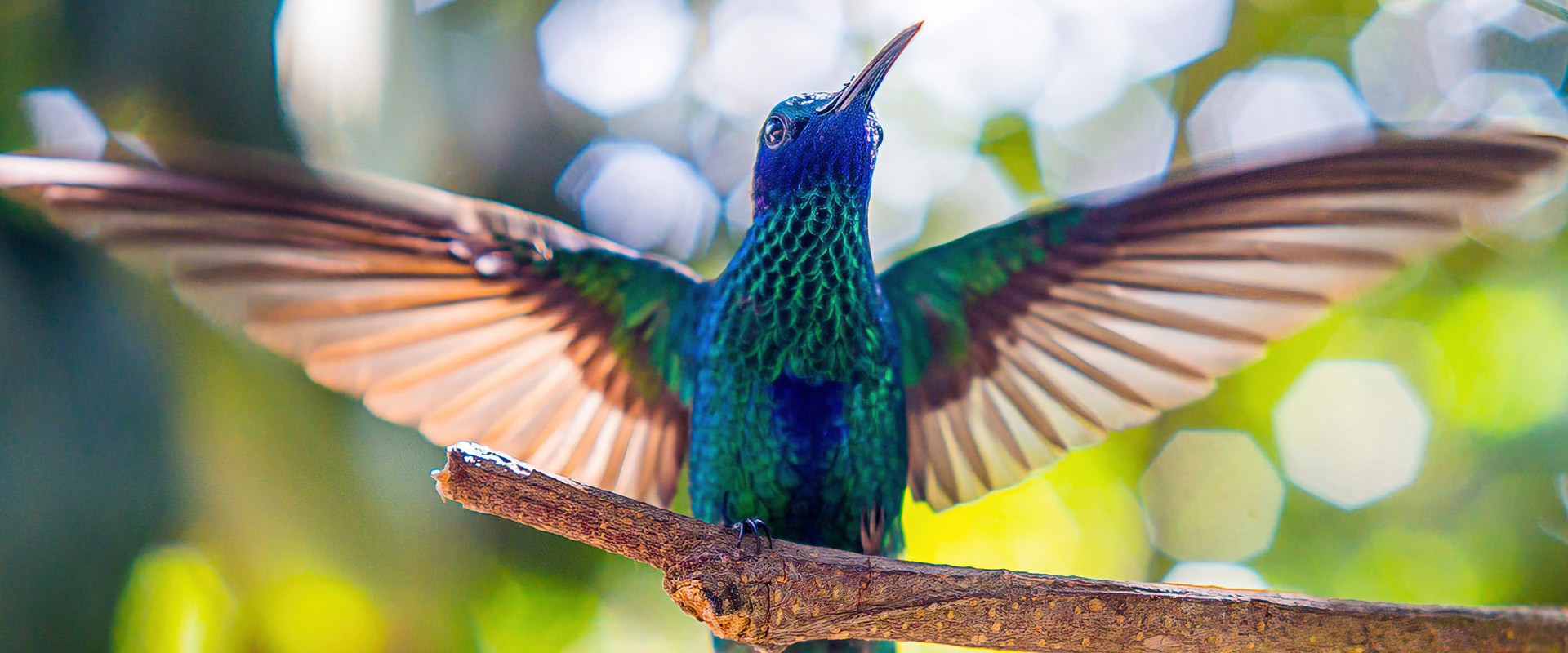 torresdesuites imagenes paralllax home 04