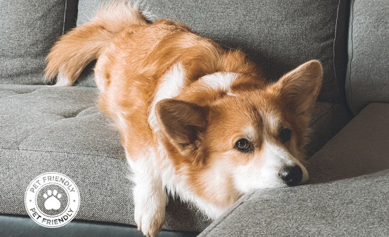 torresdesuites aboutus image sliderh 01