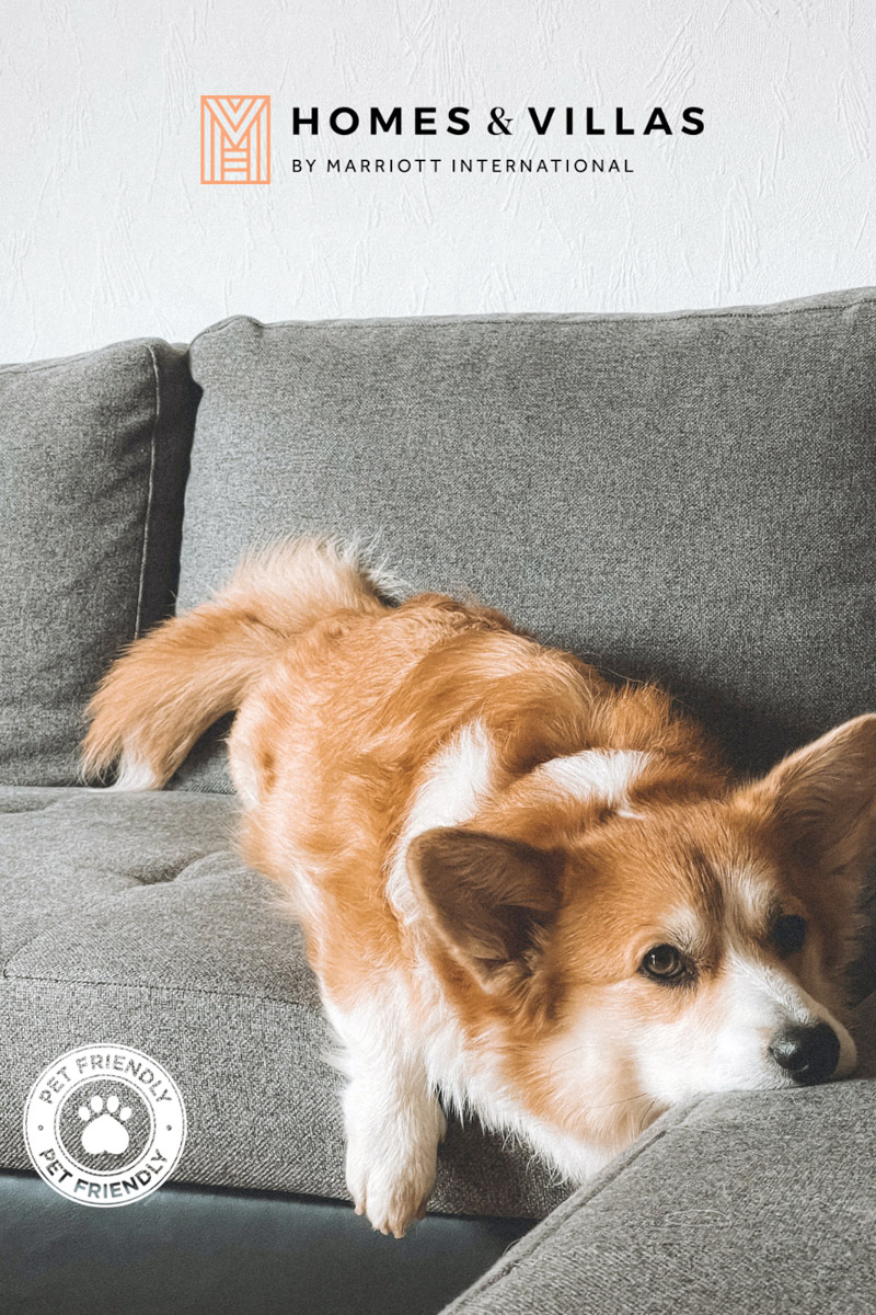 torresdesuites aboutus image sliderv 04 02